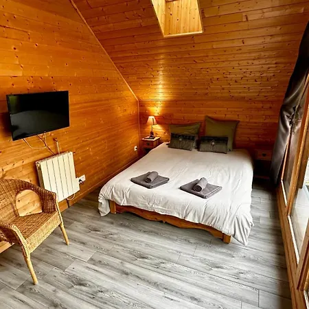 Dağ evi Le Salers 10pers Le Dore Mont-Dore