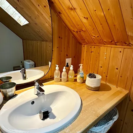 Dağ evi Le Salers 10pers Le Dore